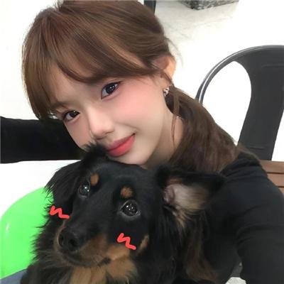 腼腆英雄第二季